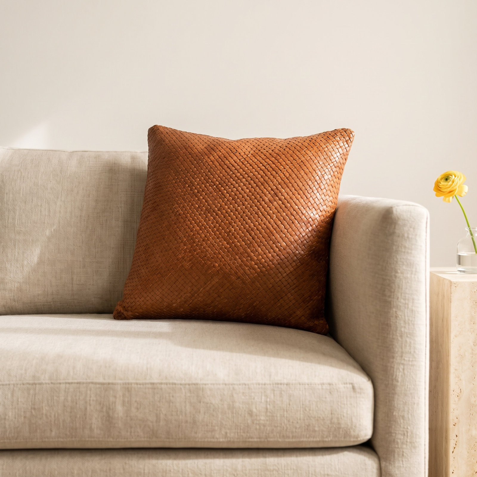 Nabil 20" x 20" Throw Pillow