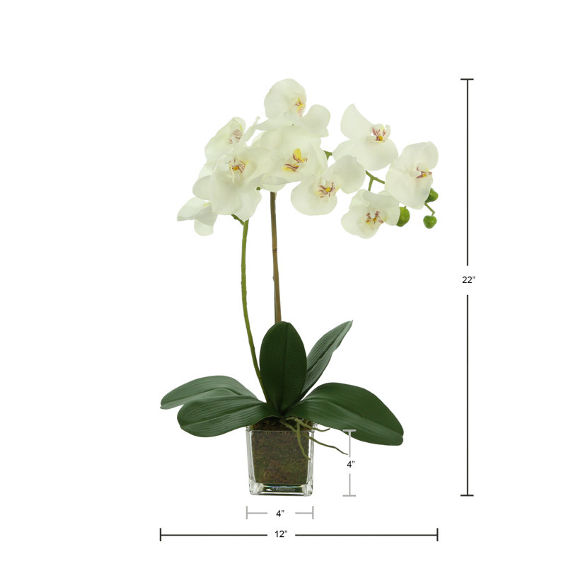 Arrangement d'orchidées Kora dans un vase en verre carré