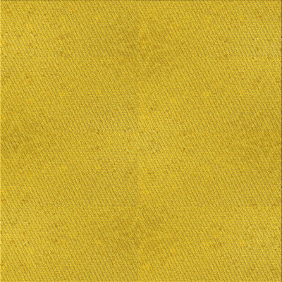 Indoor Rug