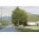 «Going to Town II Crop» par Wellington Studio, reproduction sur toile