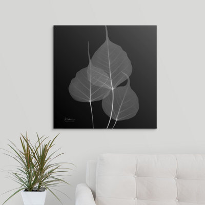 «Manigault 'Bo Tree Leaf X-Ray» par Kiranjit, reproduction de photo