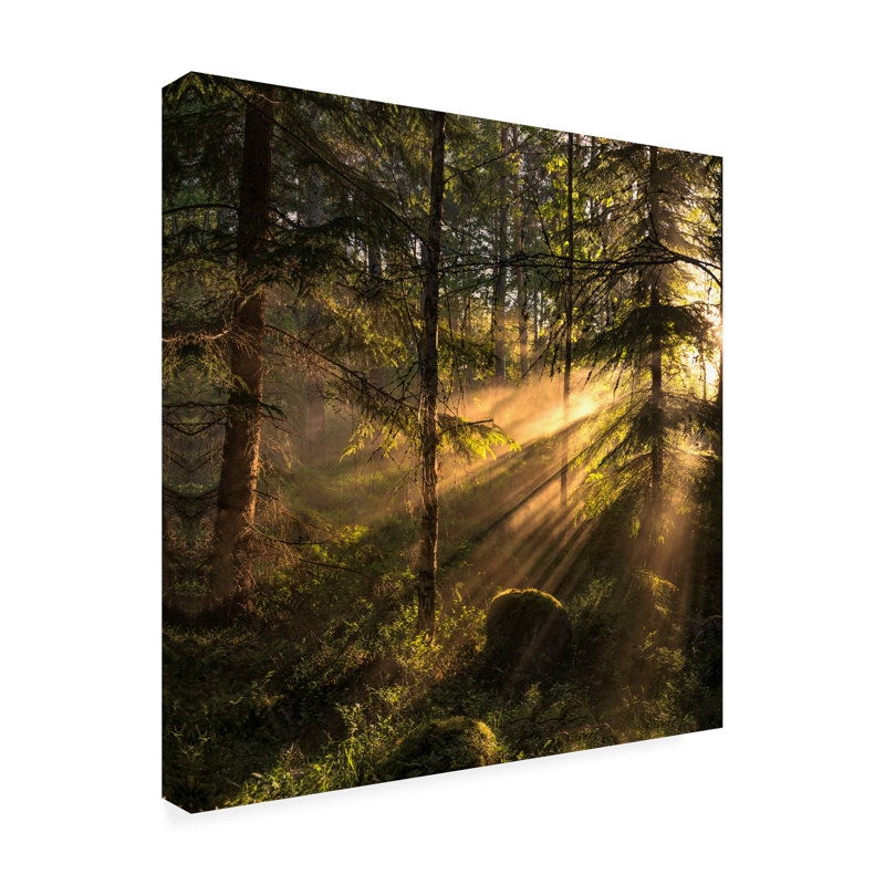 Toile extérieure «Sunrays» de Tyrese Christian Lindsten, H 14 po x l 14 po x P 1,5 po