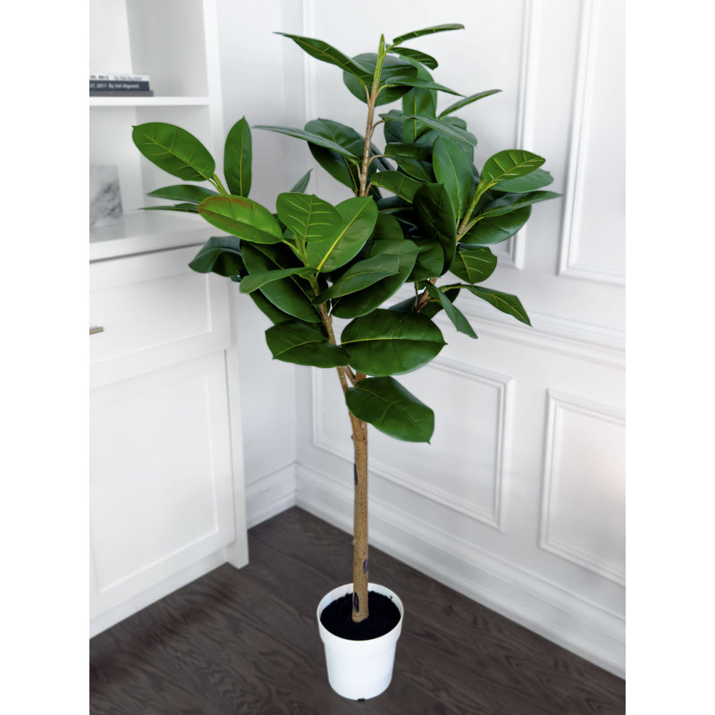 64'' Green Silk Oak Tree in White Plastic Pot