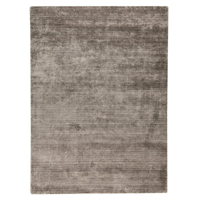 Hayner Viscose Indoor Rug