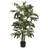 Faux Bamboo Tree in Pot-947594364