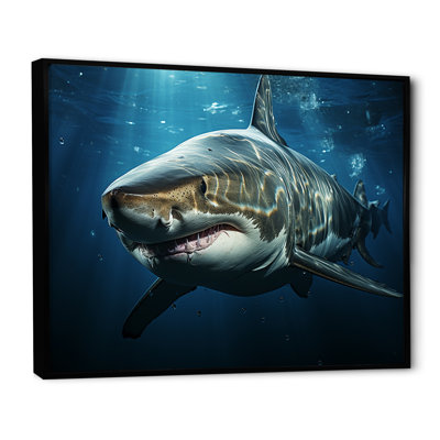 " Oceans Blue Ghost Shark Photography "