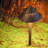 LED Landscape Pathway Lighting, 3W AC/DC 12V-24V Low Voltage Path Lights