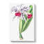 Crimson-Lipped Cattleya Flowers - Wrapped Canvas-55315338