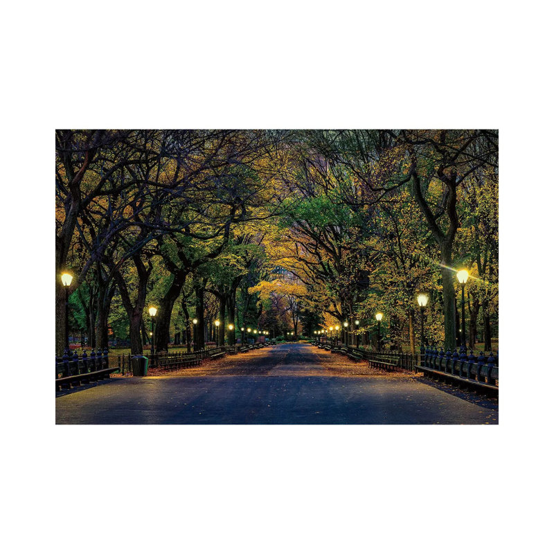 Central Park Magic par David Gardiner - Estampe numérique sur toile tendue avec châssis, H 18 po x l 26 po x P 1,5 po