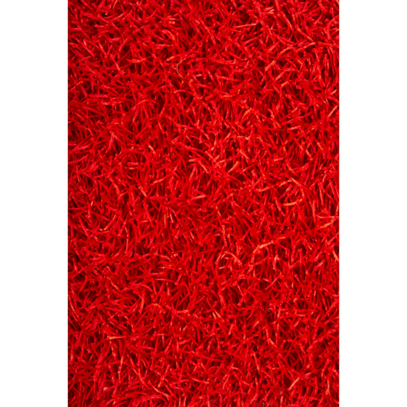 Tapis rouge tissé à la main Everly Quinn Fanetta, Rectangle 4 pi x 6 pi