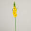 45in. Artificial Gladiolus Flower Stems, Set of 3-869769262