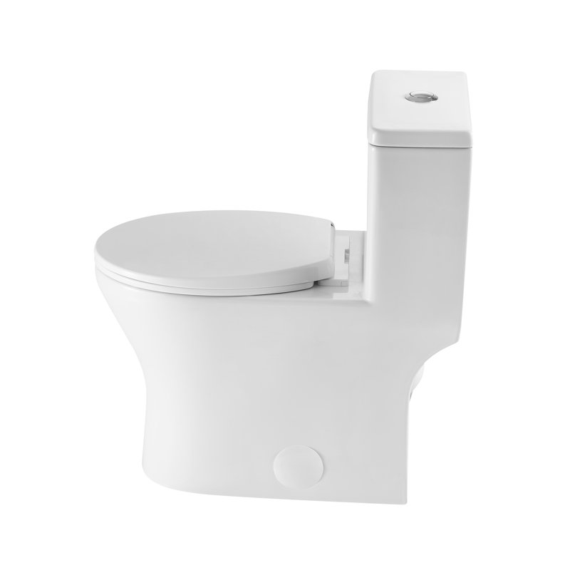 One Piece Toilet