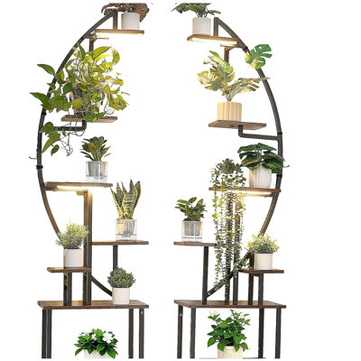 Support pour plante d'intérieur avec lumières de croissance, tablette de plantes éclairées de hauteur de 65,5 po de hauteur, paquet de 2 porte-plantes de coin en métal, 3 minuteurs et 10 luminaires, support de fleurs en forme de demi-lune pour le salon