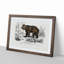 Brown Bear by Charles d'Orbigny - Picture Frame Painting Print-55512877-55512869