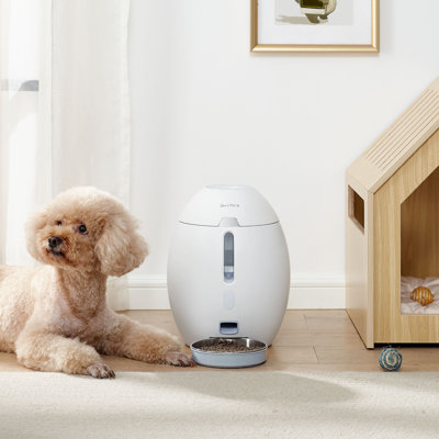 Cosmo Anti-Skid Automatic Feeder