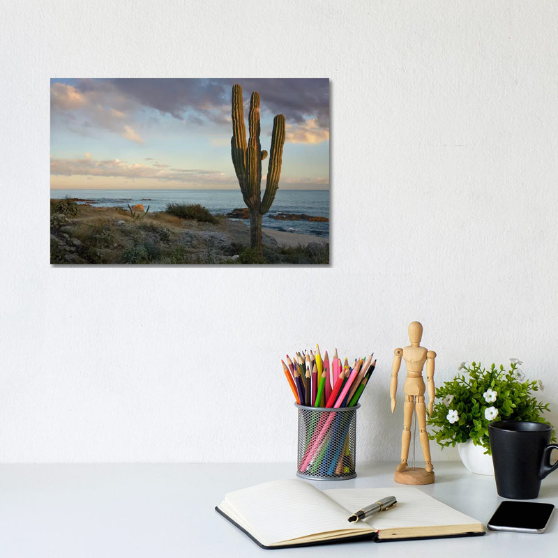 Saguaro Cactus At Beach, Cabo San Lucas, Mexico by Tim Fitzharris - Wrapped Canvas Print, 20.32 cm H x 30.48 cm W