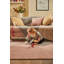Waldoboro Solid Colour Hand Woven Area Rug-777590398