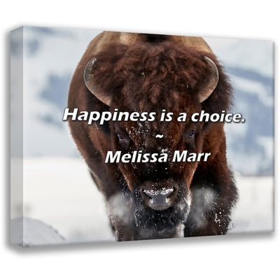 Melissa Marr Quote: Happiness is a choice.