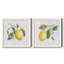 Lemon Fresh I - ensemble de 2 peintures sur toile encadrées-986507308-986507309