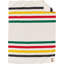 Pendleton National Parks Throw Blanket-93224196