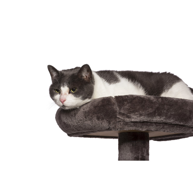 Blaylock Scratching Post