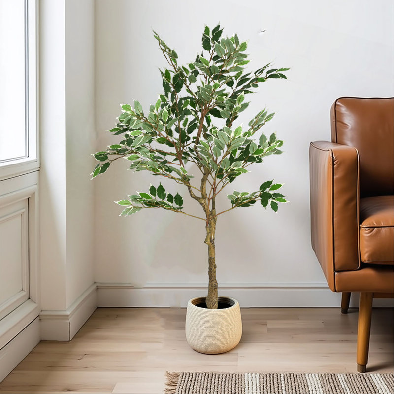 Artificial Ficus Tree With Black Plastic Pot, 51 in x 31 in