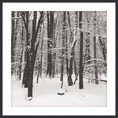 Snowscape 5 Print by Studio L57 Narrative