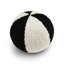 Poodle Ball II Circular Pillow Cover & Insert-1503603418