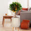 Concrete Effect Planter on Hardwood Legs, Round Indoor Plant Pot Stand for Indoor Plants, Indoor Flower Pot with Plaited Pattern-753632941-753632931