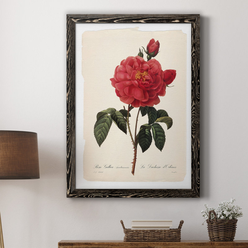 Red Botanical III - cadre photo, impression sur toile, H 20 po x l 17 po x P 1 po, Toile avec cadre noir