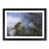Black Framed selected