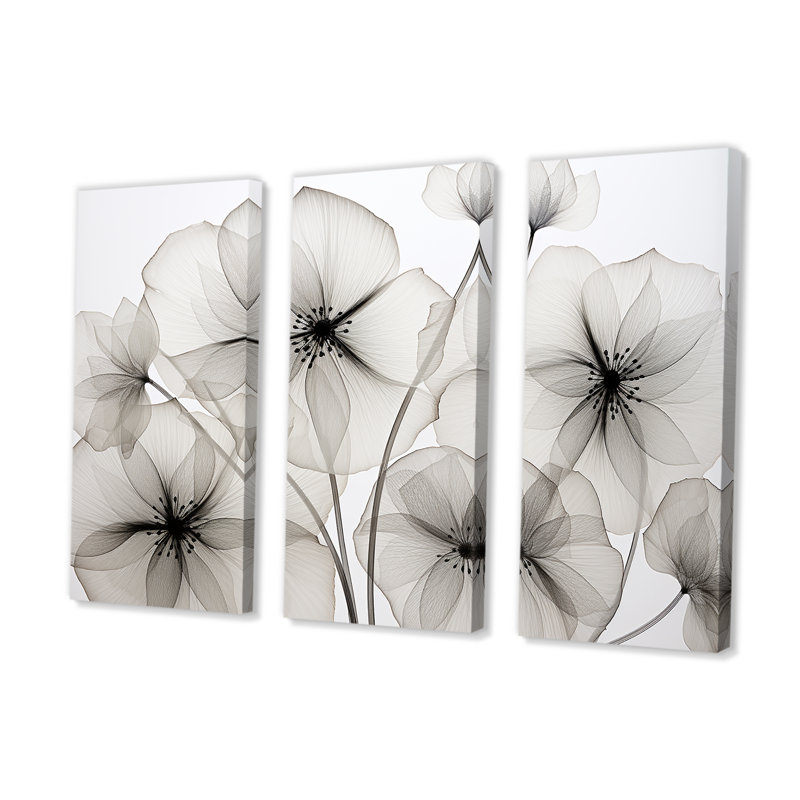 «Black and White Morning Glory Speed» - ensemble d'art mural sur toile Morning Glory, Toile tendue