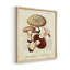 «Mushroom Variétés I», ensemble de 4 encadrées-434044350-434044224