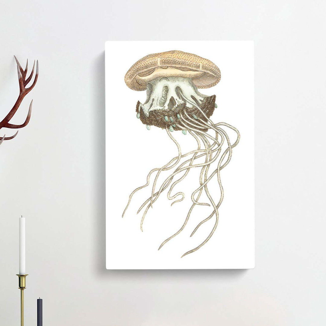 Crown Jellyfish by George Shaw - Wrapped Canvas