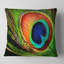 Coussin de photographie à plumes peacock-30728089-30728092