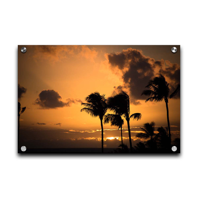 Maui Sunset by Kelly Wade, Plastique / acrylique, H 24 po x l 36 po