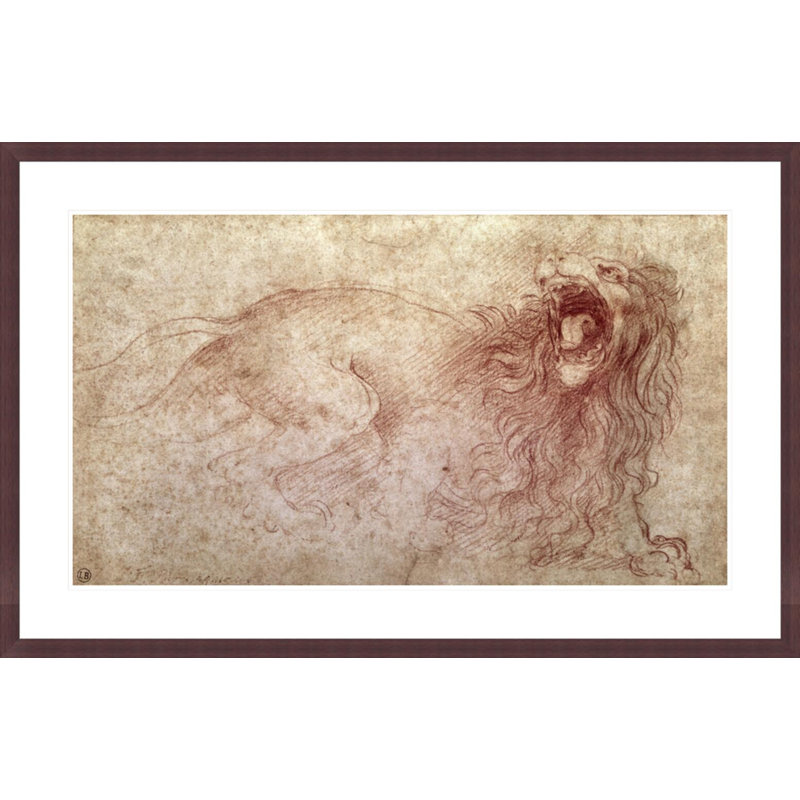 Esquisse d'un lion rugissant (craie rouge sur papier) par Leonardo Da Vinci, impression giclée encadrée