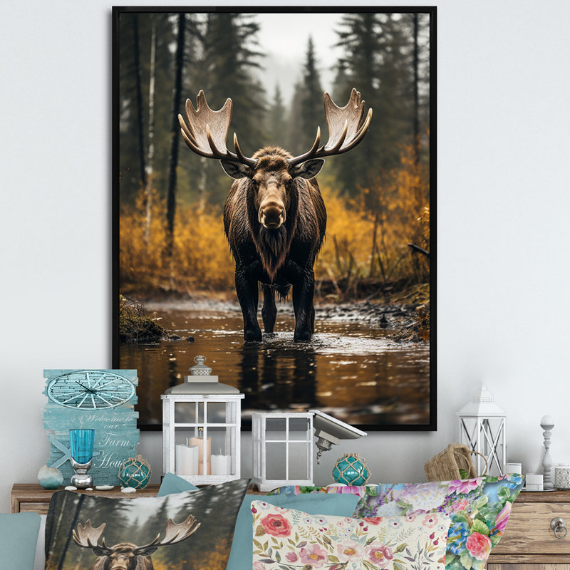 Orignal majestueux de Cammeray en Alaska - Alaska, art mural, Cadre flottant noir, H 40 po x l 30 po x P 1,5 po