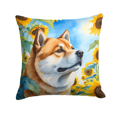 Other/No Pattern Indoor/Outdoor Throw Pillow