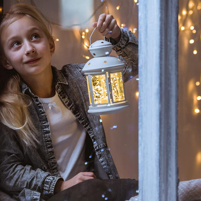 Guirlande lumineuse féerique à DEL de 30,8 pi avec 33 ampoules Geltrude (connectable de bout en bout)