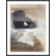 Revive 4 Print by Dan Hobday-1725025256
