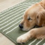 Tapis vert Fresno-112014113