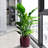 Ceramic Flowerpot Of 3 In Bean Paste Red For Living Room And Windowsills - All-Weather Glossy Look Flowerpots Patio Heat- Functional Design-1128228417