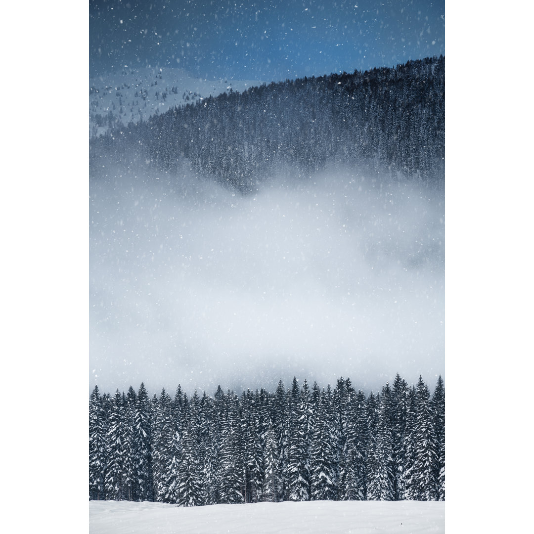 Winterlandschaft von Borut Trdina - Druck