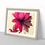 Blooming Flower - Single Picture Frame Print-1617642418-1617642421