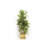 250cm Faux Birch Tree in Wood Planter