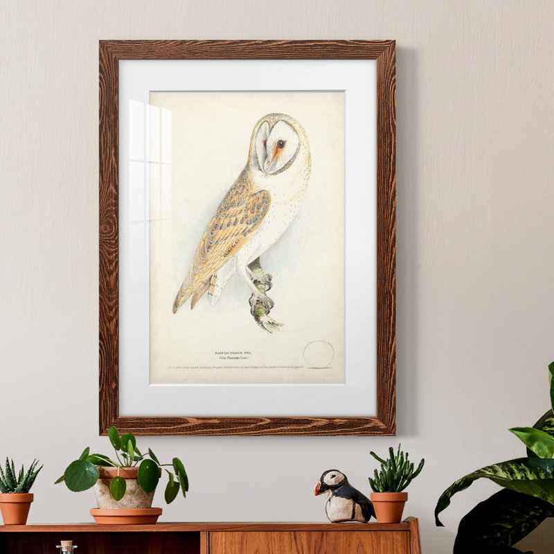 Barn Owl Premium encadré mat - prêt à accrocher, H 24 po x l 20 po x P 1 po, Cadre en érable