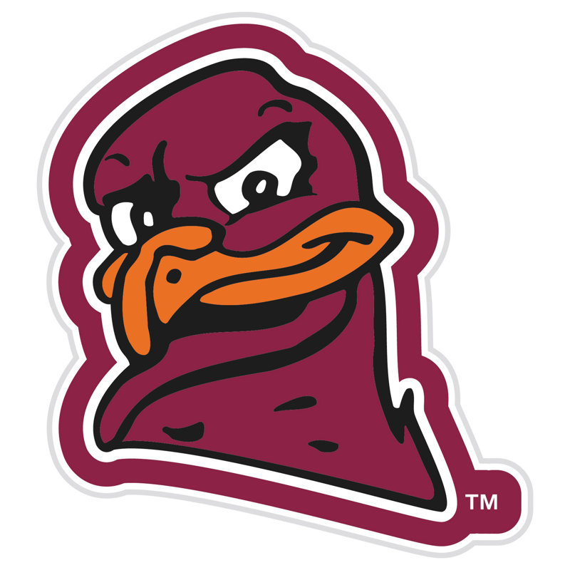 Virginia Tech College Mascot Lighted LED Wall Sign