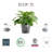 Ecopots Venice Indoor/Outdoor Modern Recycled Plastic Flower Pot Planter W/ Water Reservoir-1913109331-1913109334