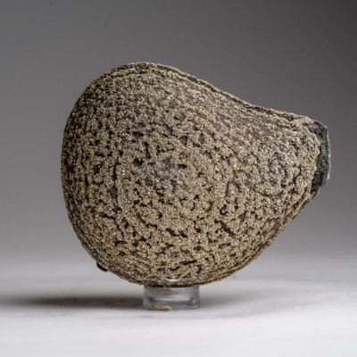 Cloche Or Water Globe